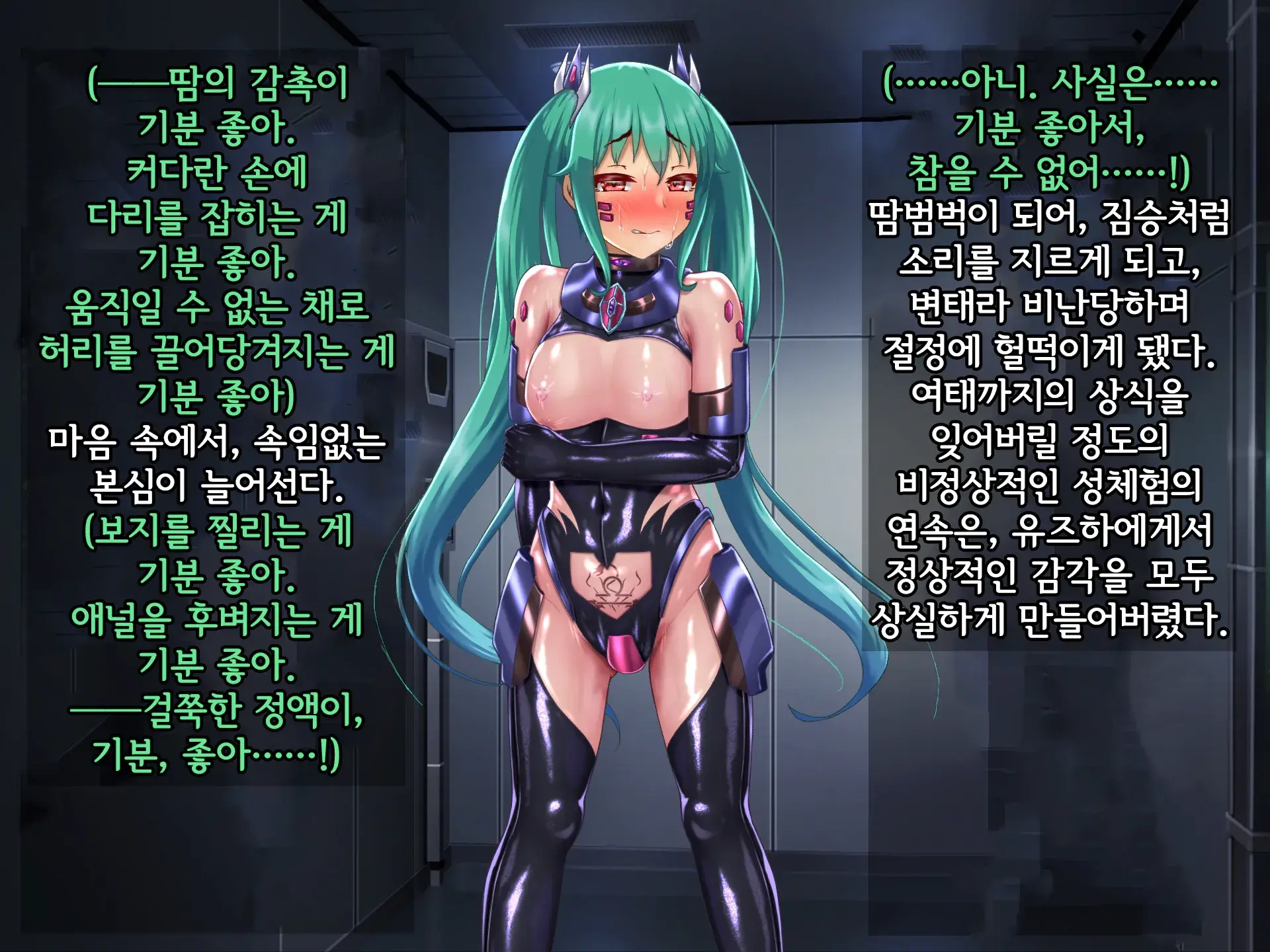 Kisou Seiki Asteria 2 Gyakushin No Gyaida En 휘장성희 아스텔리아2